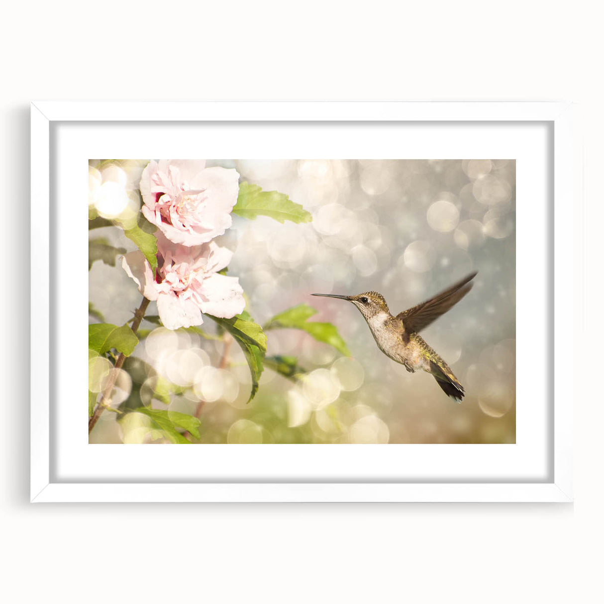 Framed wall art showcasing a vibrant hummingbird design in a white mat, perfect for adding a touch of nature-inspired decor to any room.