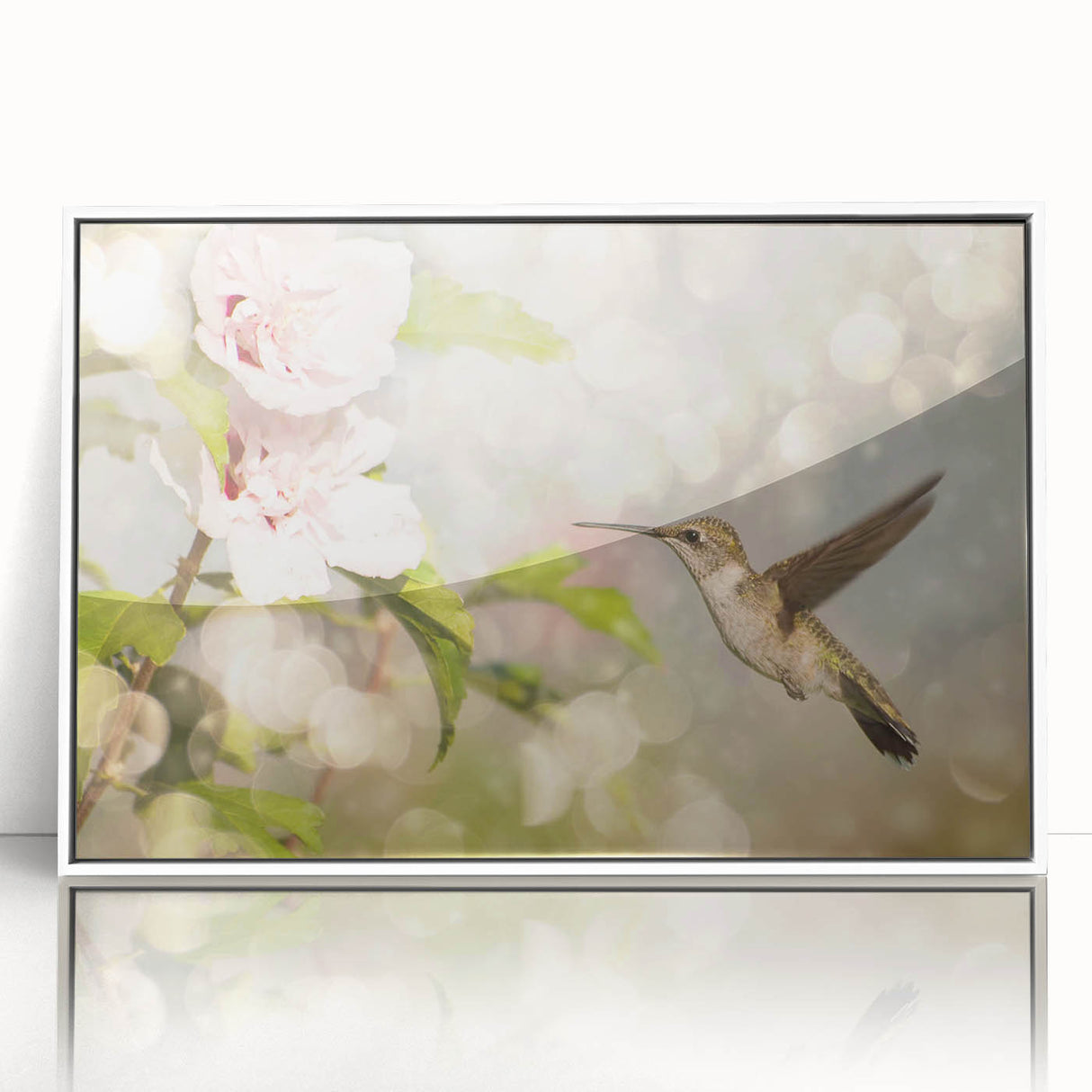 Framed wall art collection featuring a vibrant hummingbird design on acrylic, showcasing rich colors and intricate details, perfect for enhancing any living space.