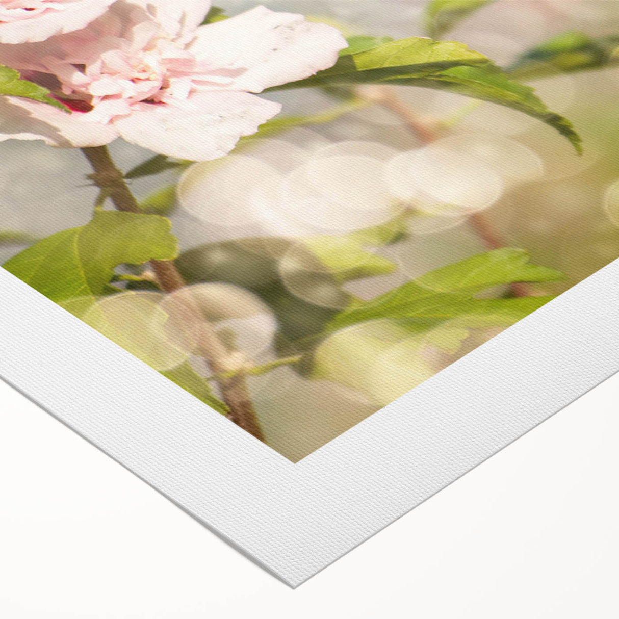 Colorful rolled canvas artwork showcasing a vibrant hummingbird design, ideal for home decor, presented in a protective cardboard tube for safe shipping.