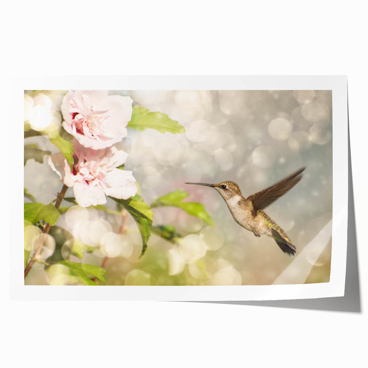 Vibrant illustration of hummingbirds surrounded by colorful floral elements, printed on high-quality canvas, perfect for home decor or art collection.