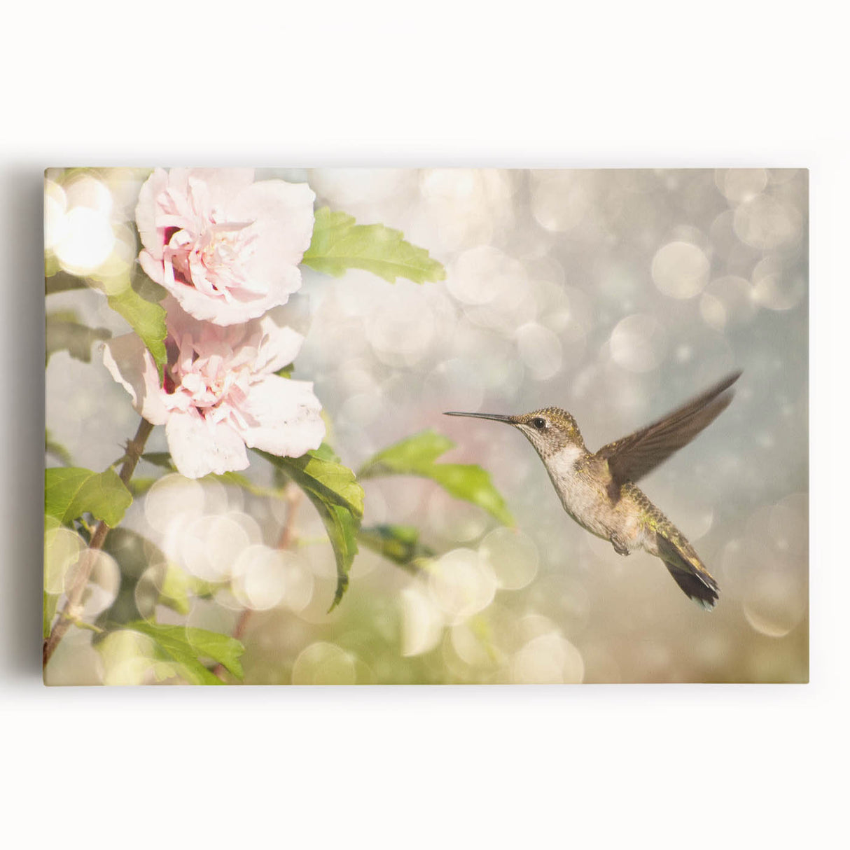 Stretched canvas wall art depicting a vibrant hummingbird design with intricate details and colorful accents, perfect for enhancing home decor.