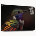 Colorful hummingbird wall art design displayed in an acrylic glass frame with pins, showcasing intricate details and vibrant colors for a lively decor accent. Perfect for nature-themed interiors or bird enthusiasts.