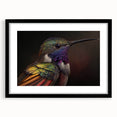 Framed wall art featuring a vibrant hummingbird design in a black frame with a white mat, ideal for adding a touch of nature-inspired elegance to home decor.