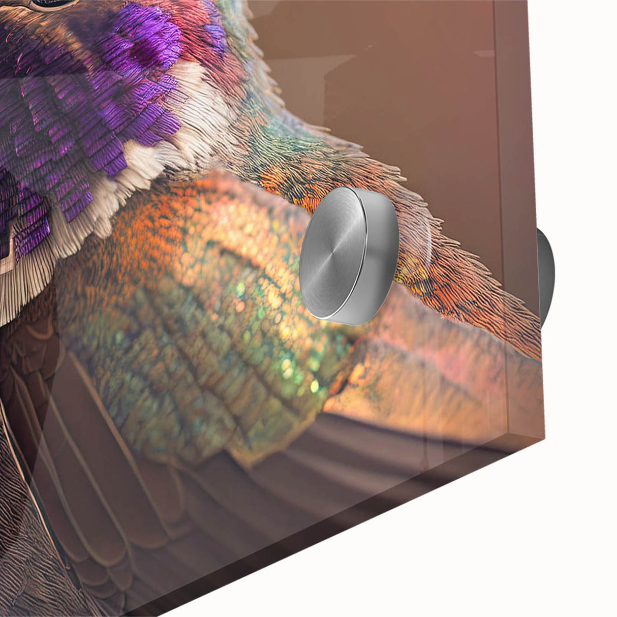 Close-up of vibrant hummingbird wall art design featuring intricate details and bright colors, showcased in a modern acrylic glass frame, perfect for home decor.