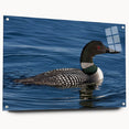 Acrylic glass wall art featuring a serene loon design, displayed in a side view with visible mounting pins, perfect for enhancing modern home decor.