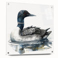 Loon design wall art collection displayed in acrylic glass, showcasing vibrant colors and intricate details with visible pins. Ideal for modern home decor.