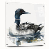 Loon design wall art collection displayed in acrylic glass, showcasing vibrant colors and intricate details with visible pins. Ideal for modern home decor.