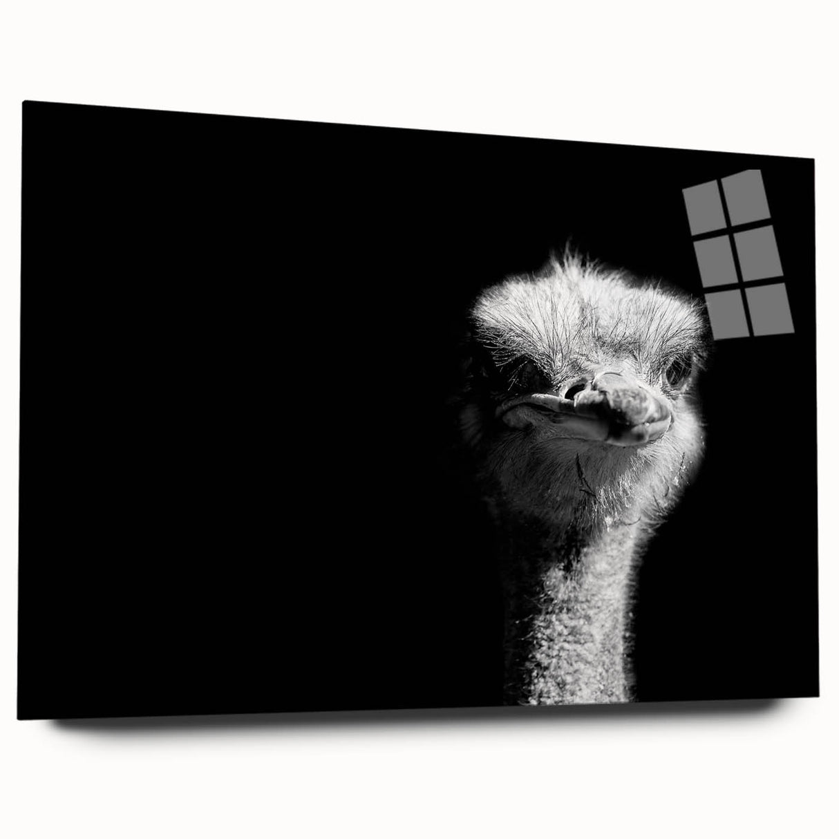 Acrylic wall art featuring a side view of colorful ostriches in a vibrant desert landscape, ideal for home decor enthusiasts seeking unique animal-themed artwork.