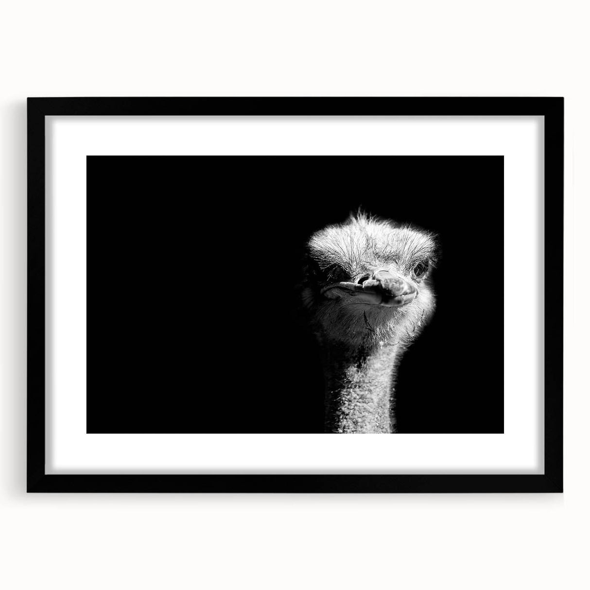 Ostrich-themed wall art collection framed in black with a mat, showcasing vibrant colors and intricate details, perfect for modern home decor.