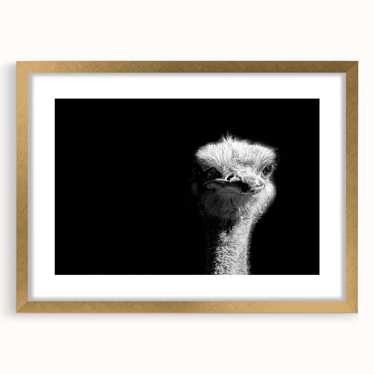 Gold-framed wall art featuring a vibrant ostrich design, elegantly matted, showcasing intricate details and rich colors ideal for home decor or gallery display.