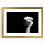Gold-framed wall art featuring a vibrant ostrich design, elegantly matted, showcasing intricate details and rich colors ideal for home decor or gallery display.