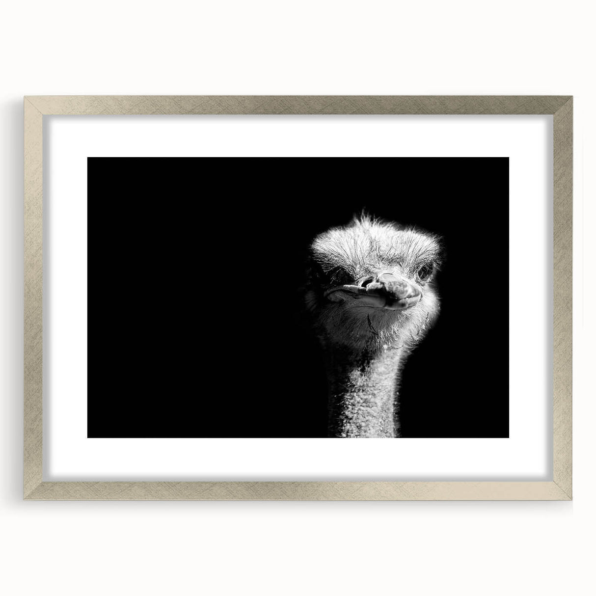 Framed wall art featuring a vibrant ostrich design in silver tones, showcasing intricate details and textures, perfect for enhancing modern decor.