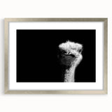 Framed wall art featuring a vibrant ostrich design in silver tones, showcasing intricate details and textures, perfect for enhancing modern decor.