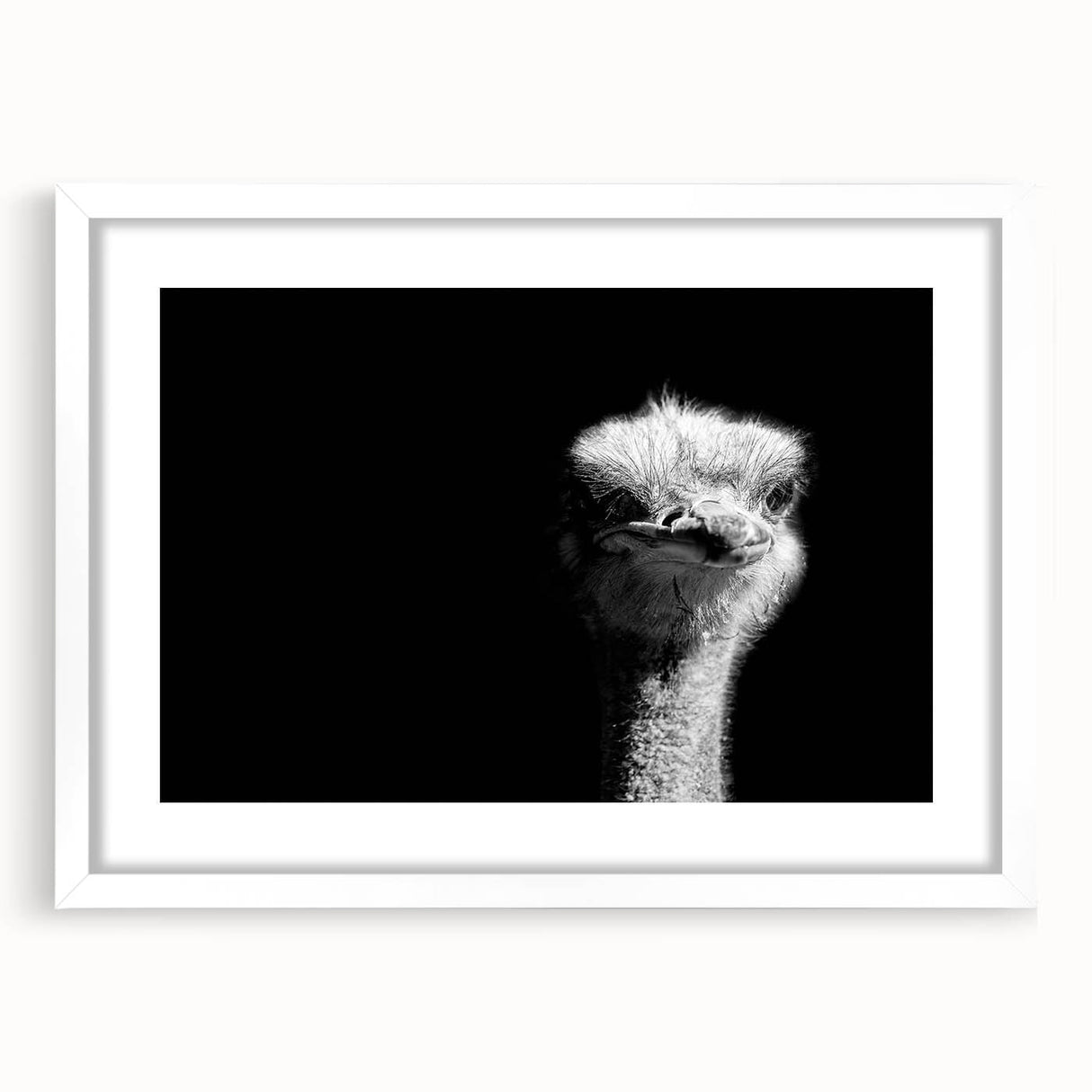 Framed wall art featuring a striking ostrich design in a minimalist style, set against a white background, perfect for modern decor enthusiasts.