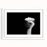 Framed wall art featuring a striking ostrich design in a minimalist style, set against a white background, perfect for modern decor enthusiasts.