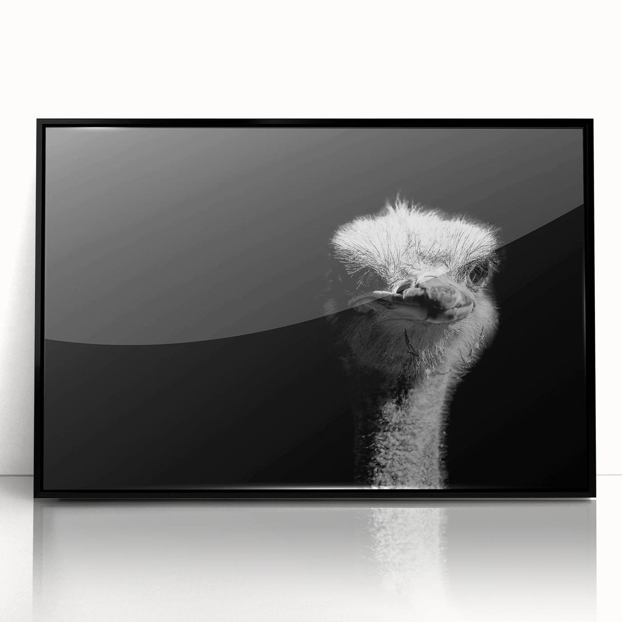 Framed acrylic wall art featuring a striking ostrich design in black, perfect for modern decor. Ideal for bird lovers and nature enthusiasts seeking unique home accents.
