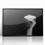 Framed acrylic wall art featuring a striking ostrich design in black, perfect for modern decor. Ideal for bird lovers and nature enthusiasts seeking unique home accents.