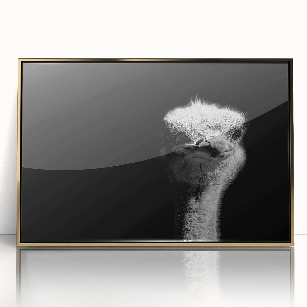 Framed wall art featuring an elegant gold-accented ostrich design, showcasing intricate details and vibrant colors, perfect for modern decor and art enthusiasts.