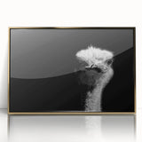 Framed wall art featuring an elegant gold-accented ostrich design, showcasing intricate details and vibrant colors, perfect for modern decor and art enthusiasts.