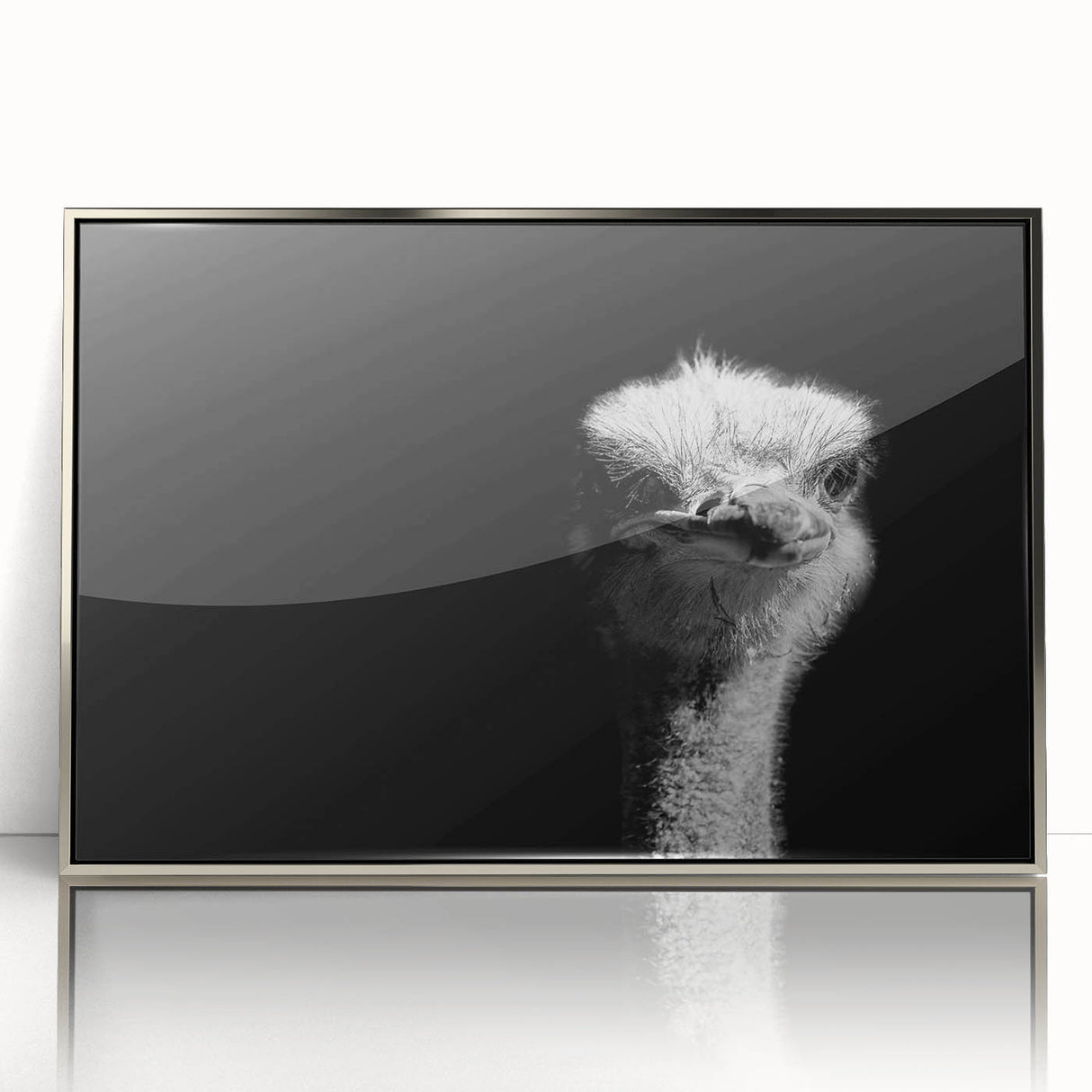 Framed wall art featuring an elegant ostrich design in silver acrylic, showcasing intricate details and modern aesthetics, perfect for enhancing any decor.