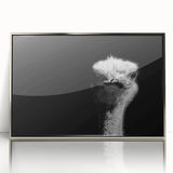 Framed wall art featuring an elegant ostrich design in silver acrylic, showcasing intricate details and modern aesthetics, perfect for enhancing any decor.
