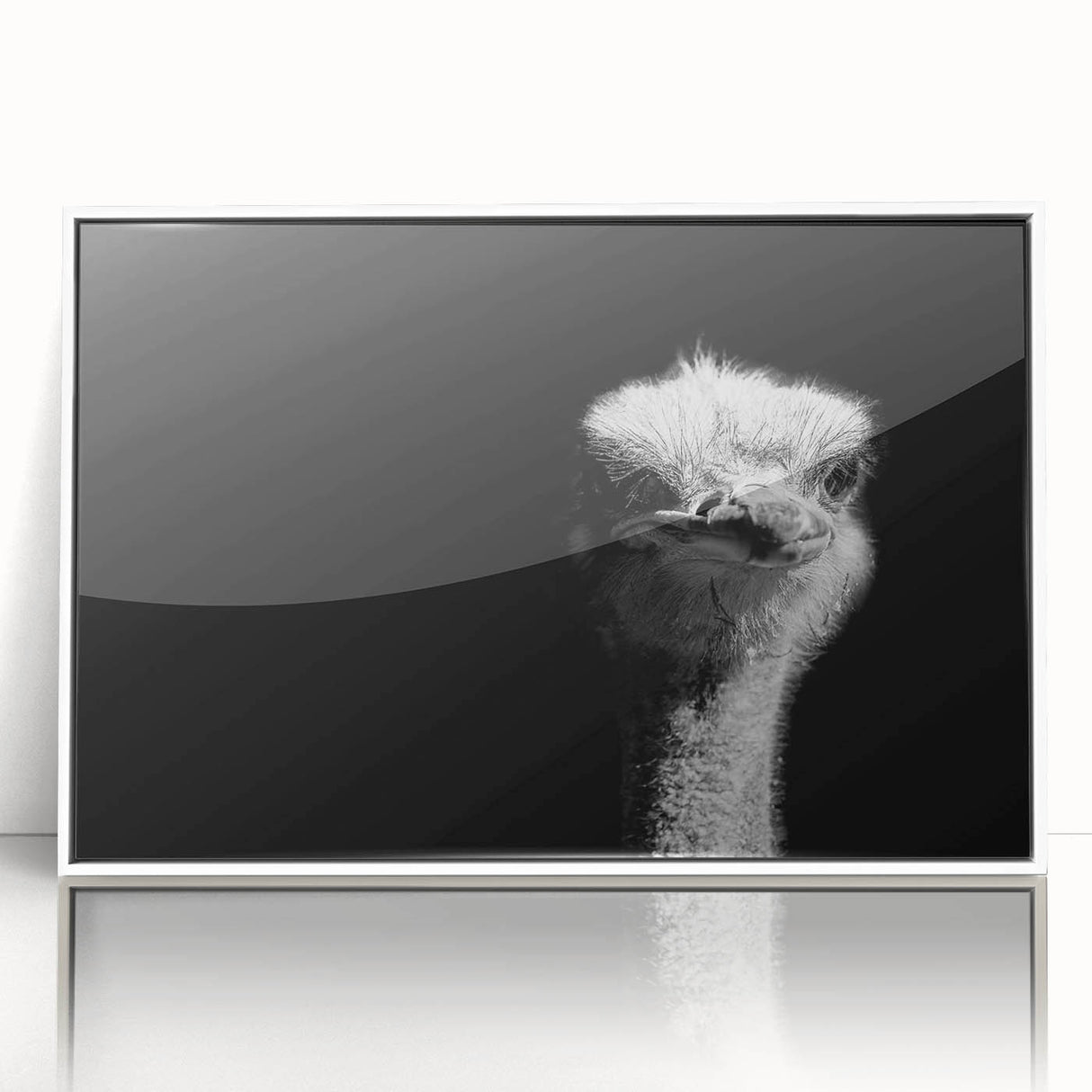 Framed acrylic wall art showcasing a striking ostrich design in vibrant colors, perfect for modern decor, displayed from a frontal perspective on a white backdrop.