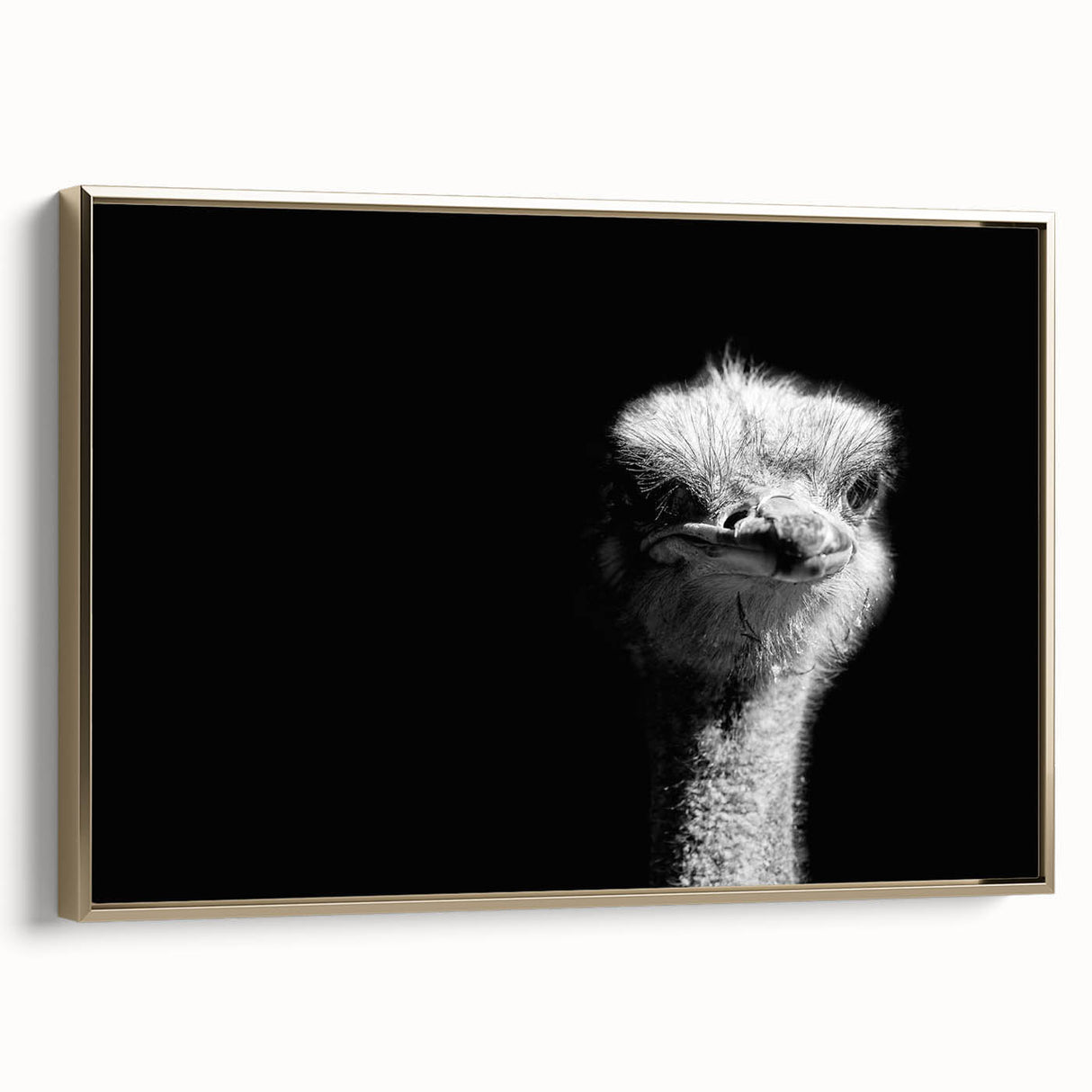 Framed canvas wall art showcasing a side view of an elegant ostrich design with golden accents, perfect for adding a touch of sophistication to modern decor.