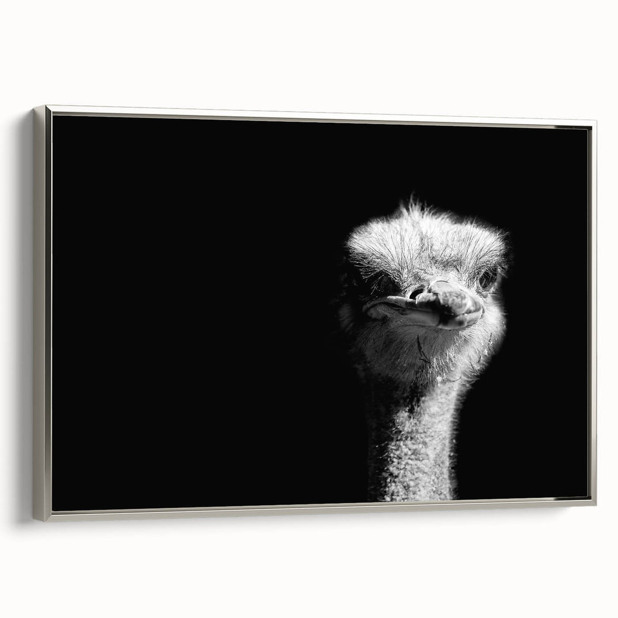 Framed canvas wall art featuring a stunning silver side view of an ostrich, showcasing intricate details and vibrant colors, perfect for enhancing home decor.