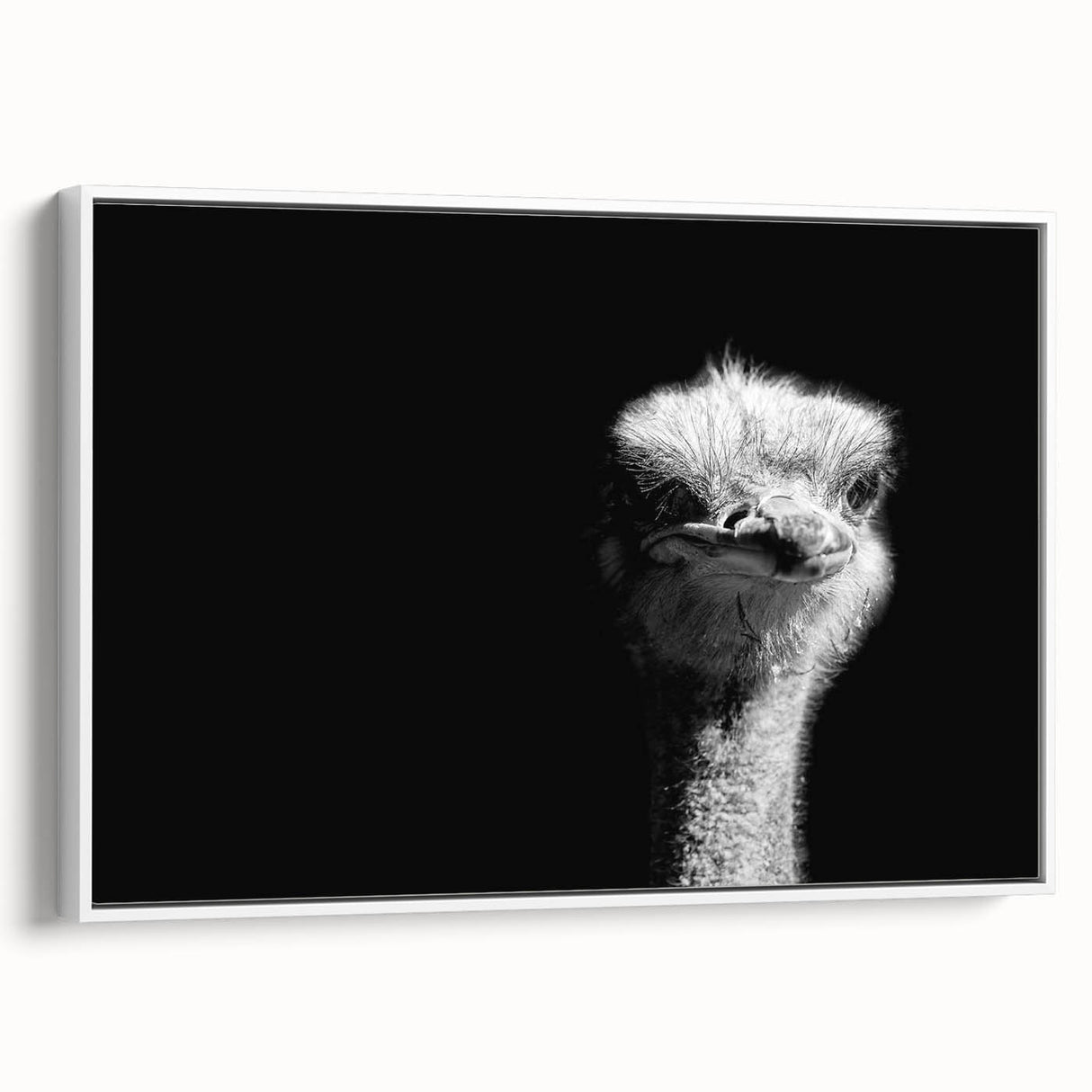 Framed canvas wall art featuring a stylish ostrich design with a white background, ideal for modern decor. Adds a touch of elegance to any room.