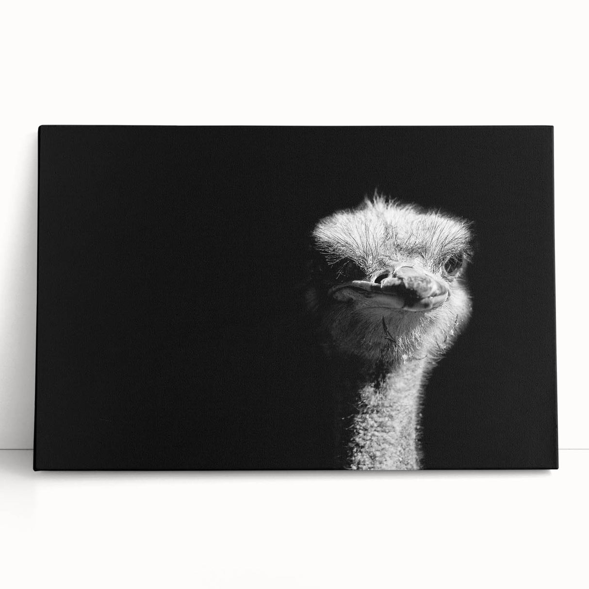 Ostrich-themed wall art on stretched canvas, showcasing vibrant colors and intricate designs. Perfect for enhancing home decor with an exotic touch.