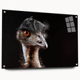 Acrylic glass wall art displaying a side view of a vibrant ostrich design, featuring intricate details and colorful patterns, perfect for modern decor and bird enthusiasts.