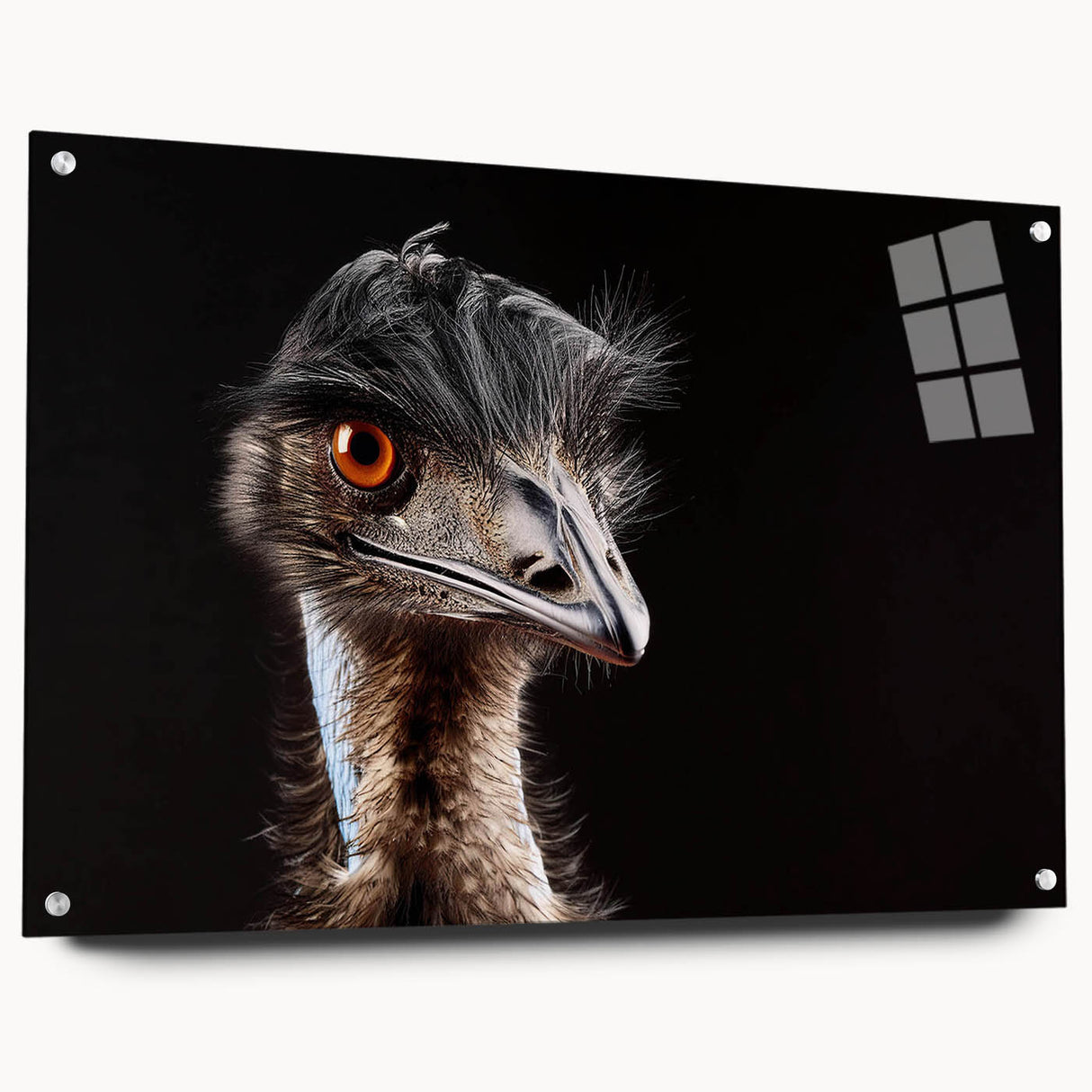 Acrylic glass wall art displaying a side view of a vibrant ostrich design, featuring intricate details and colorful patterns, perfect for modern decor and bird enthusiasts.