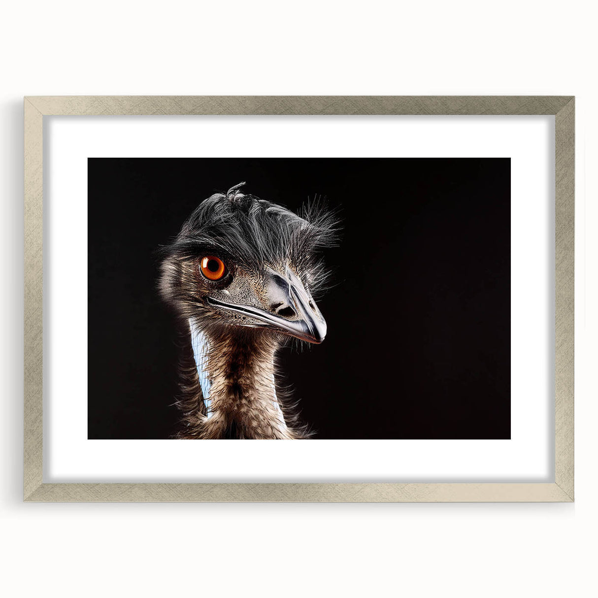 Ostrich-themed wall art collection framed in silver with a mat, showcasing vibrant colors and intricate designs, perfect for modern home decor.