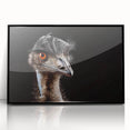 Framed wall art showcasing a vibrant ostrich design, featuring intricate details and a sleek black frame, perfect for modern home decor and art enthusiasts.