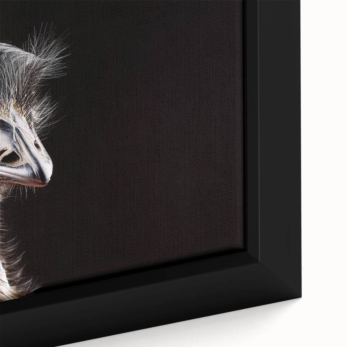 Close-up of a framed canvas wall art featuring an artistic design of colorful ostriches, showcasing intricate details and vibrant hues, perfect for home decor.