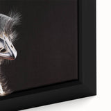 Close-up of a framed canvas wall art featuring an artistic design of colorful ostriches, showcasing intricate details and vibrant hues, perfect for home decor.