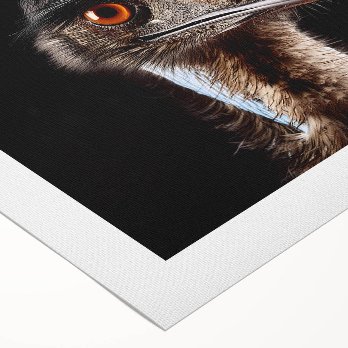 Rolled canvas showcasing a vibrant ostrich design, ideal for modern decor. This eye-catching wall art adds a unique touch to any space while being securely packaged in a durable cardboard tube.