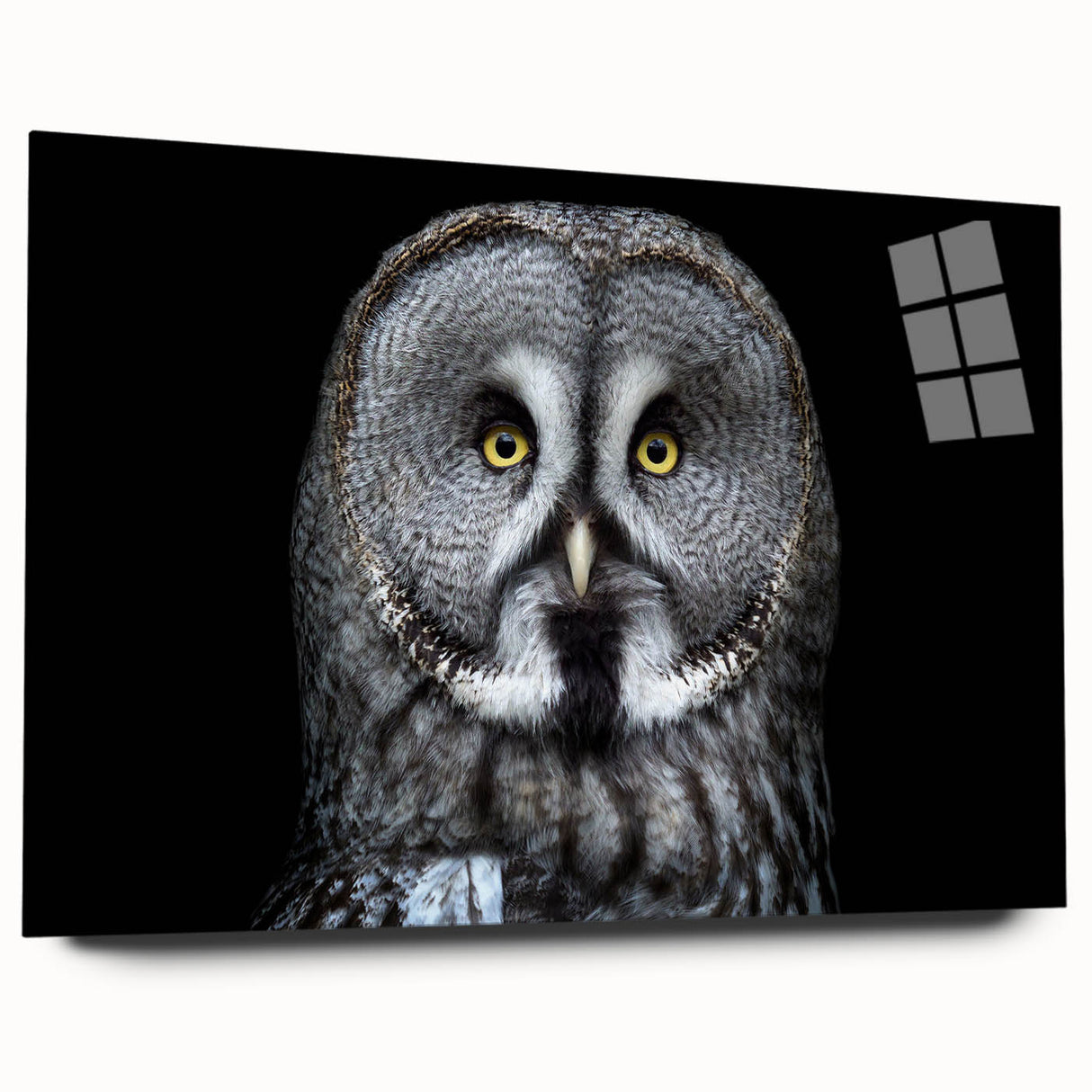 Acrylic wall art displaying a detailed owl design, featuring vibrant colors and intricate patterns, showcased from a side view with a sleek glass finish, ideal for contemporary decor.
