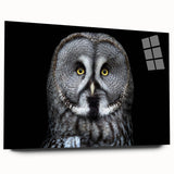 Acrylic wall art displaying a detailed owl design, featuring vibrant colors and intricate patterns, showcased from a side view with a sleek glass finish, ideal for contemporary decor.