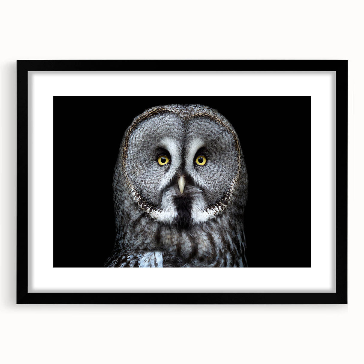 Framed wall art depicting a detailed owl design in black and white, featuring a sleek matte finish and a stylish frame, perfect for modern home decor.