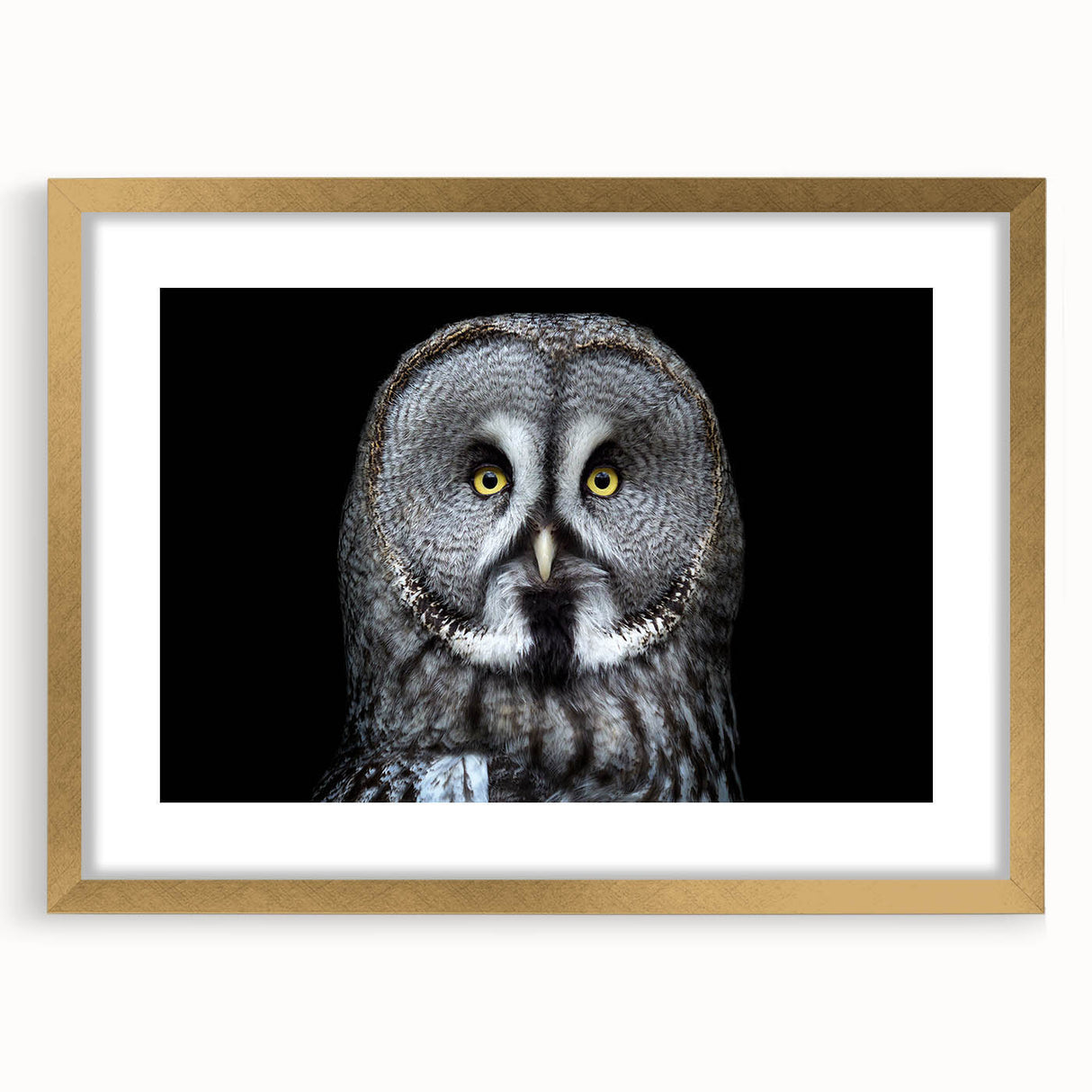 Framed wall art featuring an elegant owl design with intricate details, set in a gold frame, ideal for enhancing home decor with a touch of nature.
