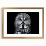 Framed wall art featuring an elegant owl design with intricate details, set in a gold frame, ideal for enhancing home decor with a touch of nature.