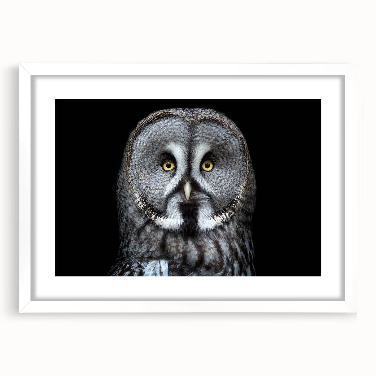 Owl wall art design in a white frame with a mat, showcasing intricate details and vibrant colors, perfect for adding a whimsical touch to home decor.