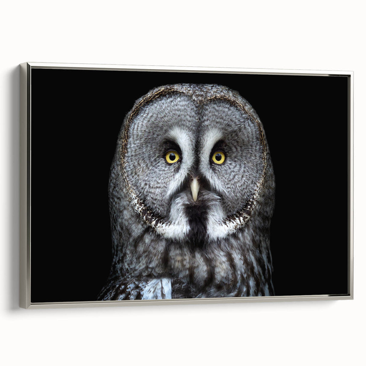 Elegant silver-framed canvas wall art showcasing a detailed owl design, perfect for home decor. The piece features intricate patterns and a modern aesthetic, ideal for nature lovers.