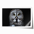 Owl-themed wall art print featuring intricate designs and vibrant colors, rolled and ready for framing, perfect for nature-inspired decor lovers.