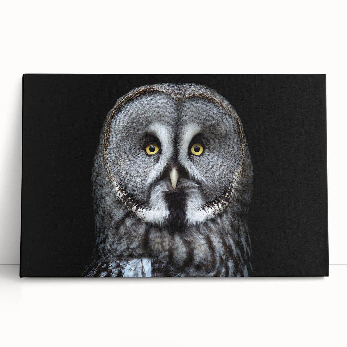Stretched canvas wall art showcasing a vibrant owl design, featuring rich colors and intricate details, perfect for enhancing home decor in a cozy setting.