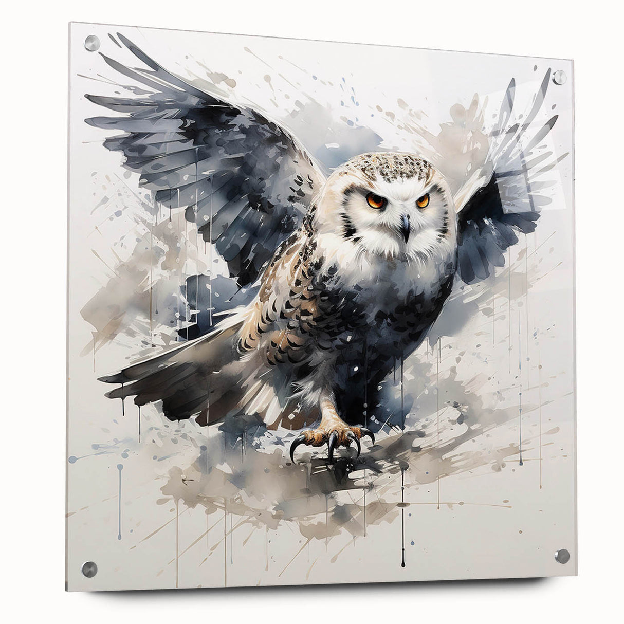 Acrylic glass wall art featuring a captivating owl design in vibrant colors, displayed with pins from a side view, ideal for adding nature-inspired decor to any space.