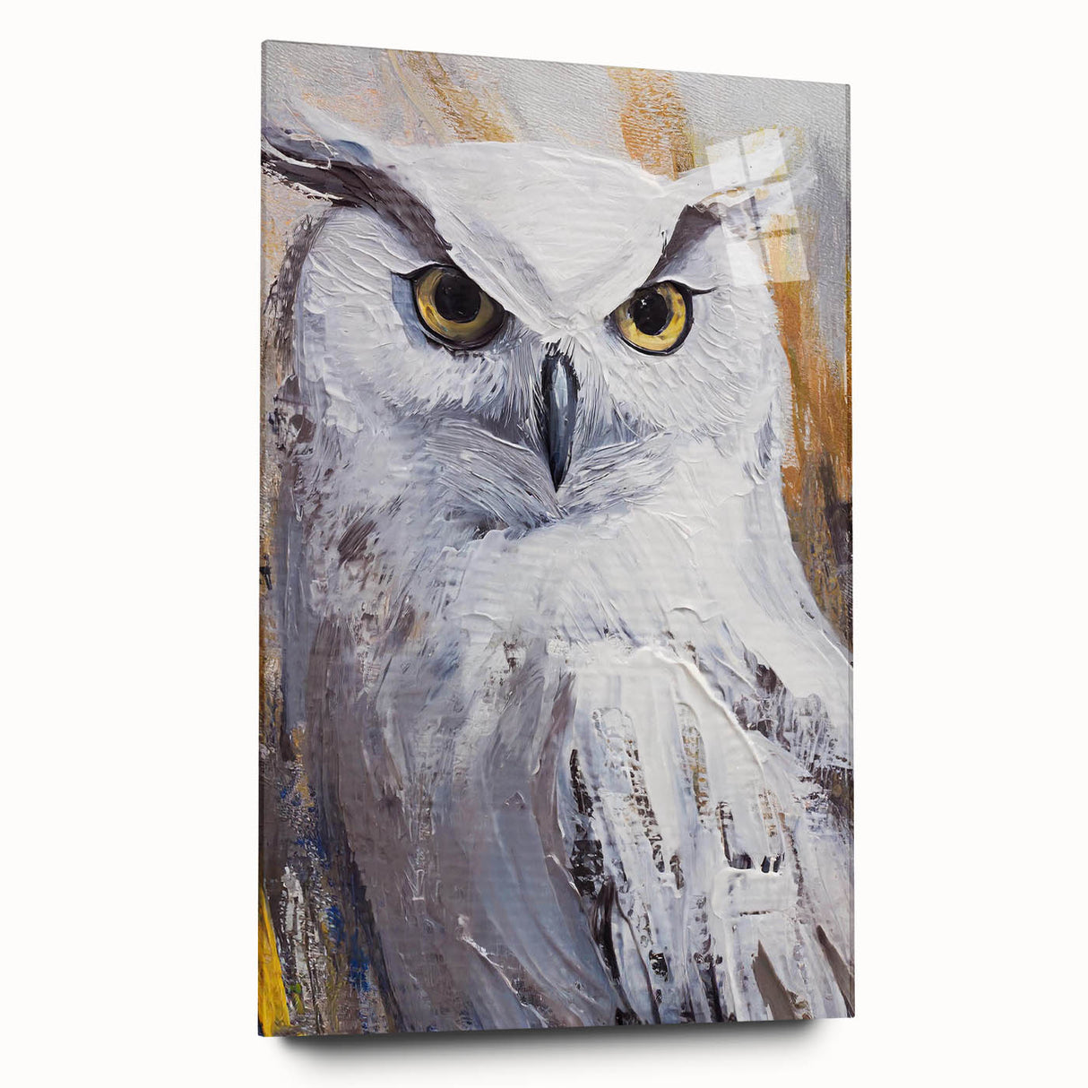 Acrylic glass wall art collection featuring a striking owl design, showcasing intricate details and vibrant colors, displayed in a side view without pins, ideal for modern decor.