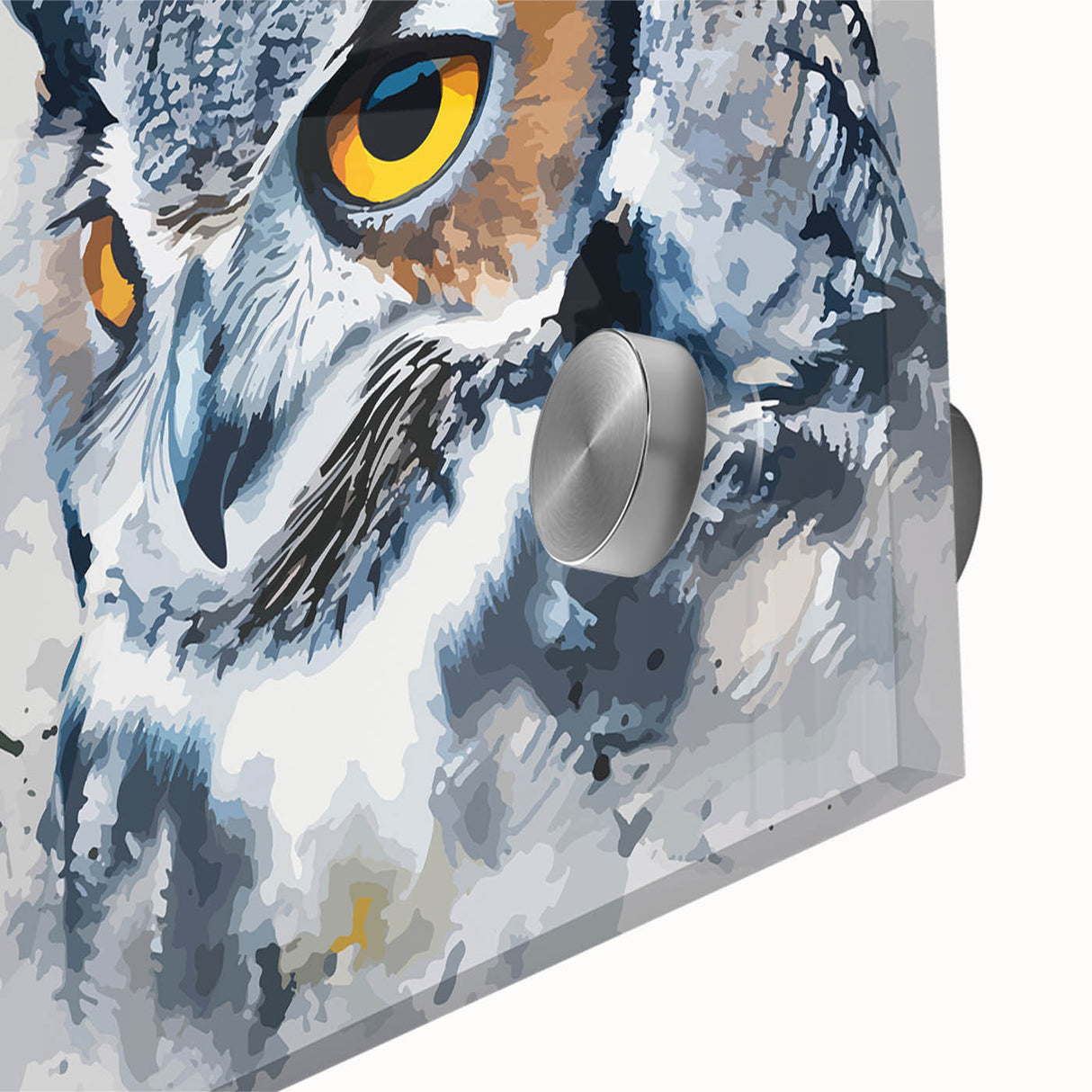 Close-up of a vibrant owl wall art design on acrylic glass, showcasing intricate details and rich colors, perfect for modern home decor.