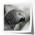 Colorful wall art featuring a vibrant design of various parrot species perched among tropical foliage. Ideal for adding a lively touch to home decor or office spaces.